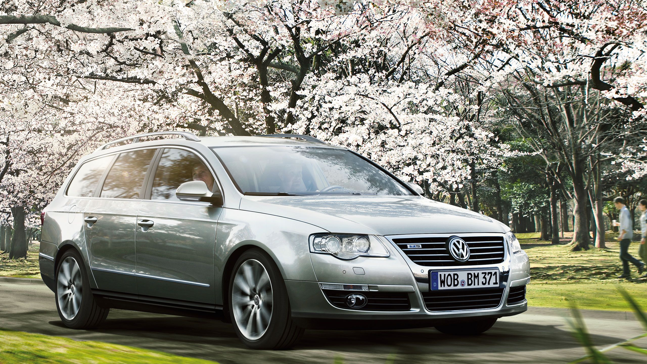 Um carro VW Passat B6 prateado atravessa uma estrada debaixo de cerejeiras em flor.