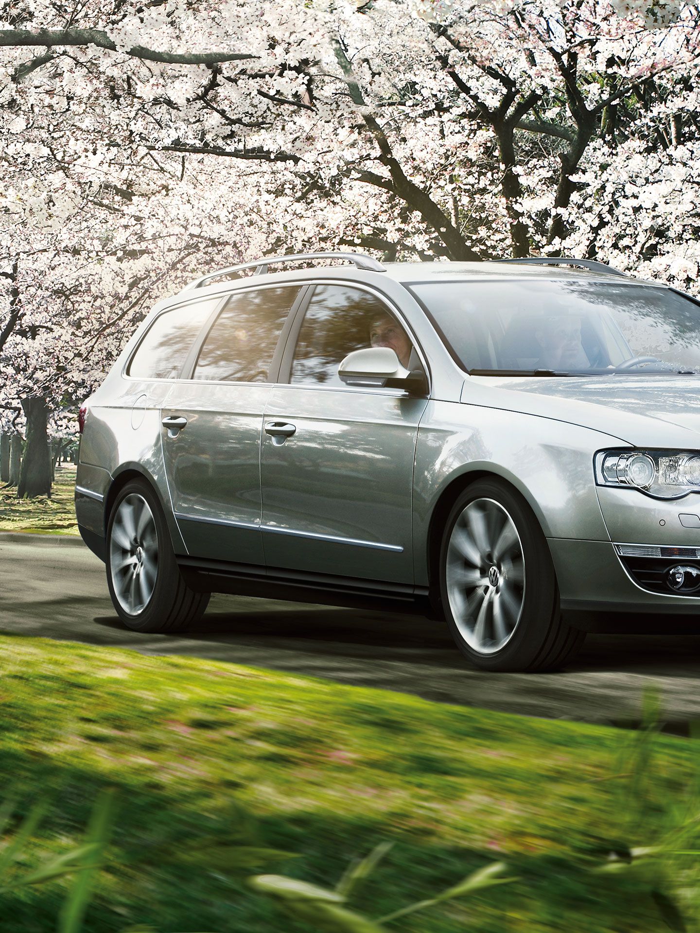 Um carro VW Passat B6 prateado atravessa uma estrada debaixo de cerejeiras em flor.